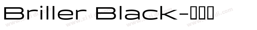 Briller Black字体转换